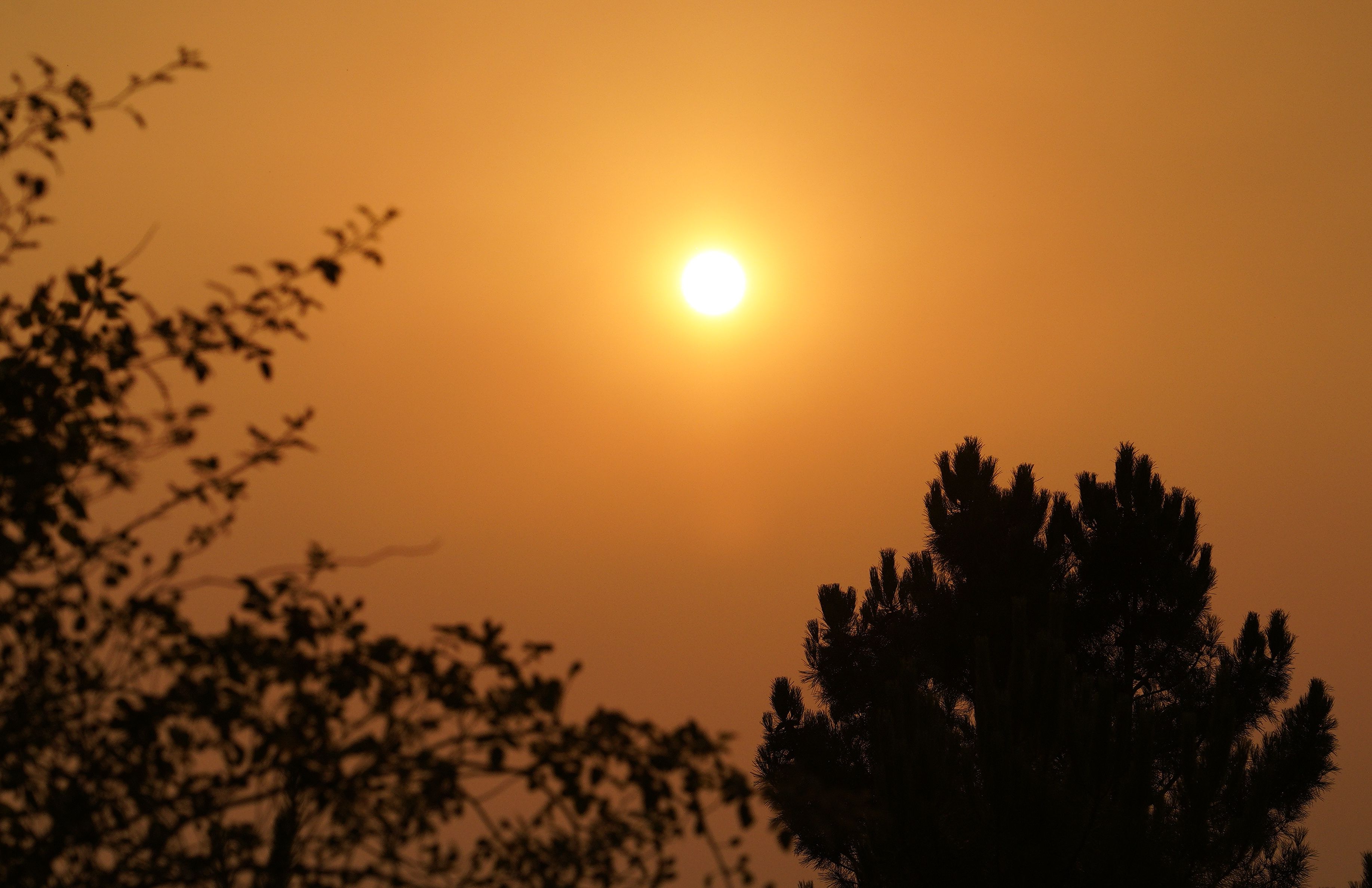 Un intenso humo y el cielo teñido de naranja son la estampa actual del Bierzo. | CE´SAR HORNIJA (ICAL)