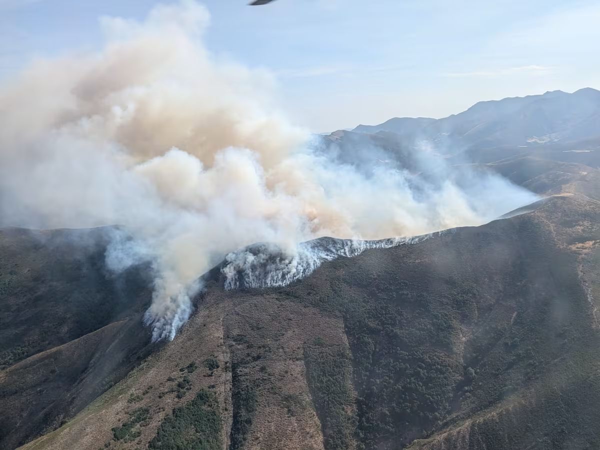 Imagen que presentaba el incendio de Barniedo. | BRIF/EUROPA PRESS Imagen que presentaba el incendio de Barniedo. | BRIF/EUROPA PRESS