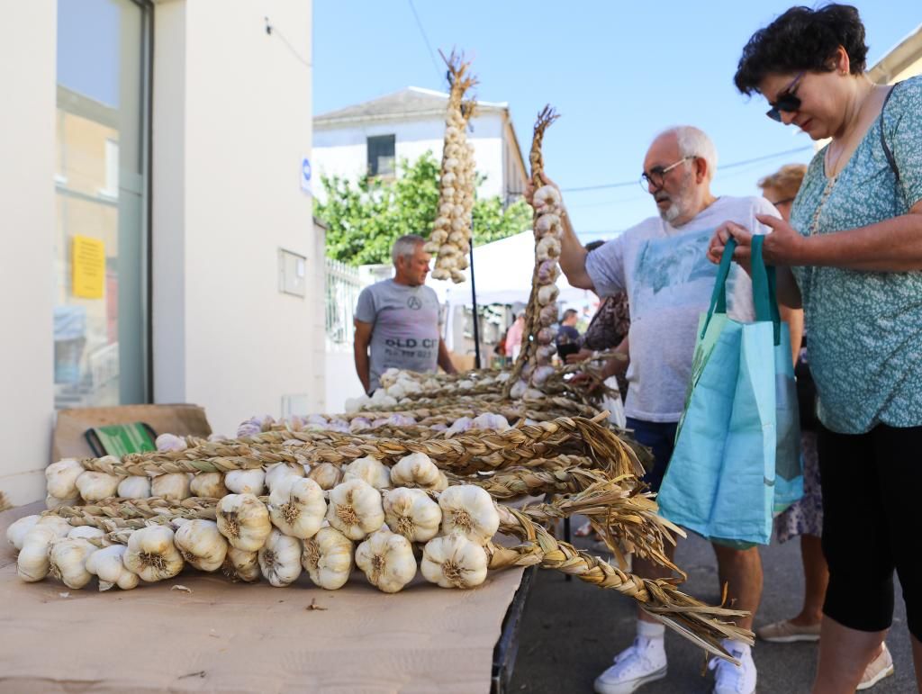 Feria del Ajo de San Miguel de las Dueñas.