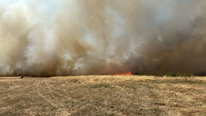 incendio almanza 2 incendio almanza 2