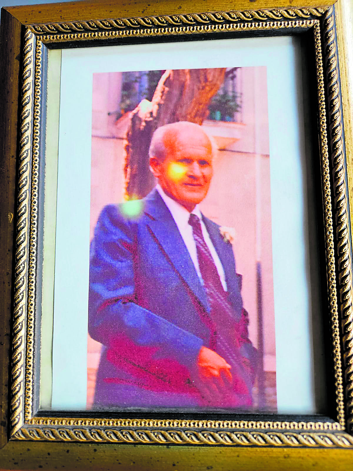 Daniel Cañal falleció hace 24 años pero su figura es recordada en Cabrera, junto a su título de Licencia de Castrador de la facultad de Veterinaria. | L,N.C Daniel Cañal falleció hace 24 años pero su figura es recordada en Cabrera, junto a su título de Licencia de Castrador de la facultad de Veterinaria. | L,N.C