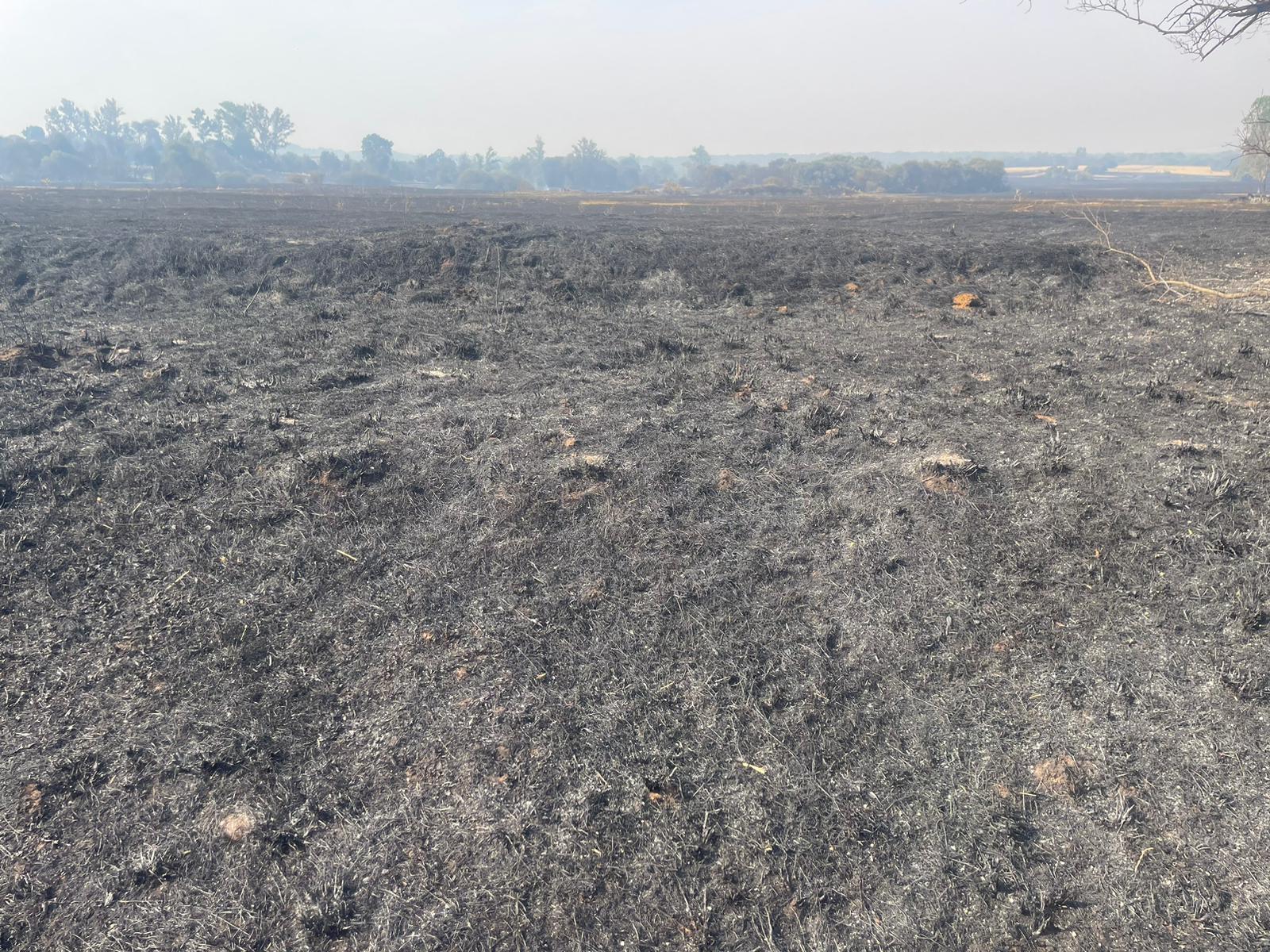Así ha afectado el incendio de Almanza a Canalejas 