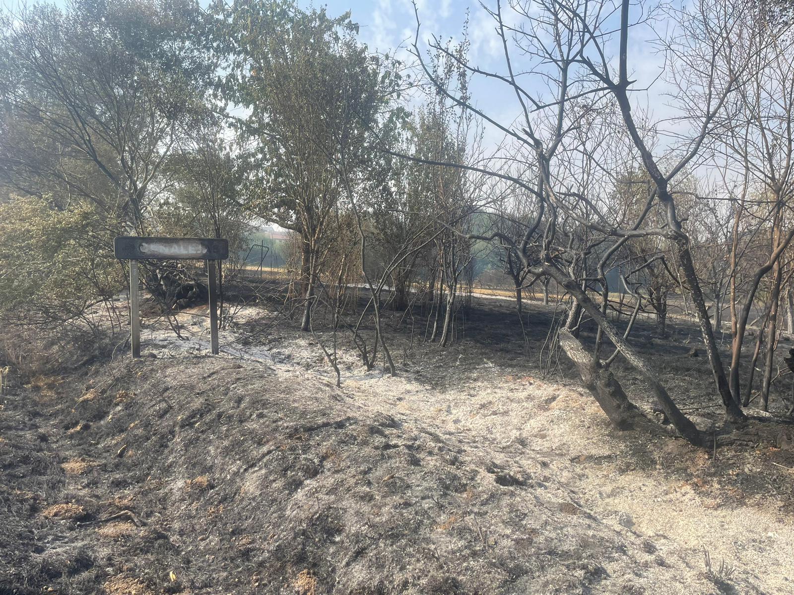 Así ha afectado el incendio de Almanza a Canalejas 