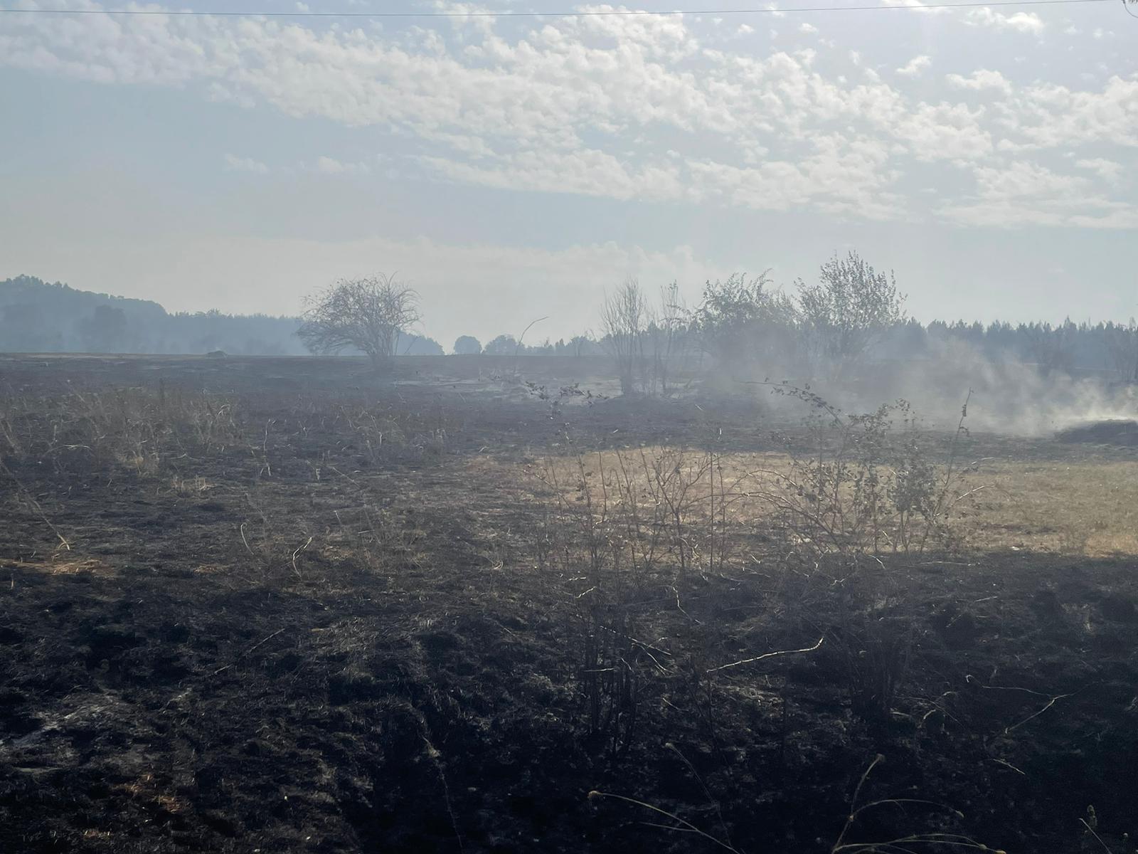 Así ha afectado el incendio de Almanza a Canalejas 