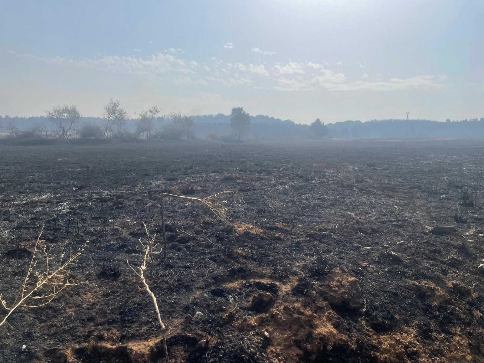 Así ha afectado el incendio de Almanza a Canalejas 