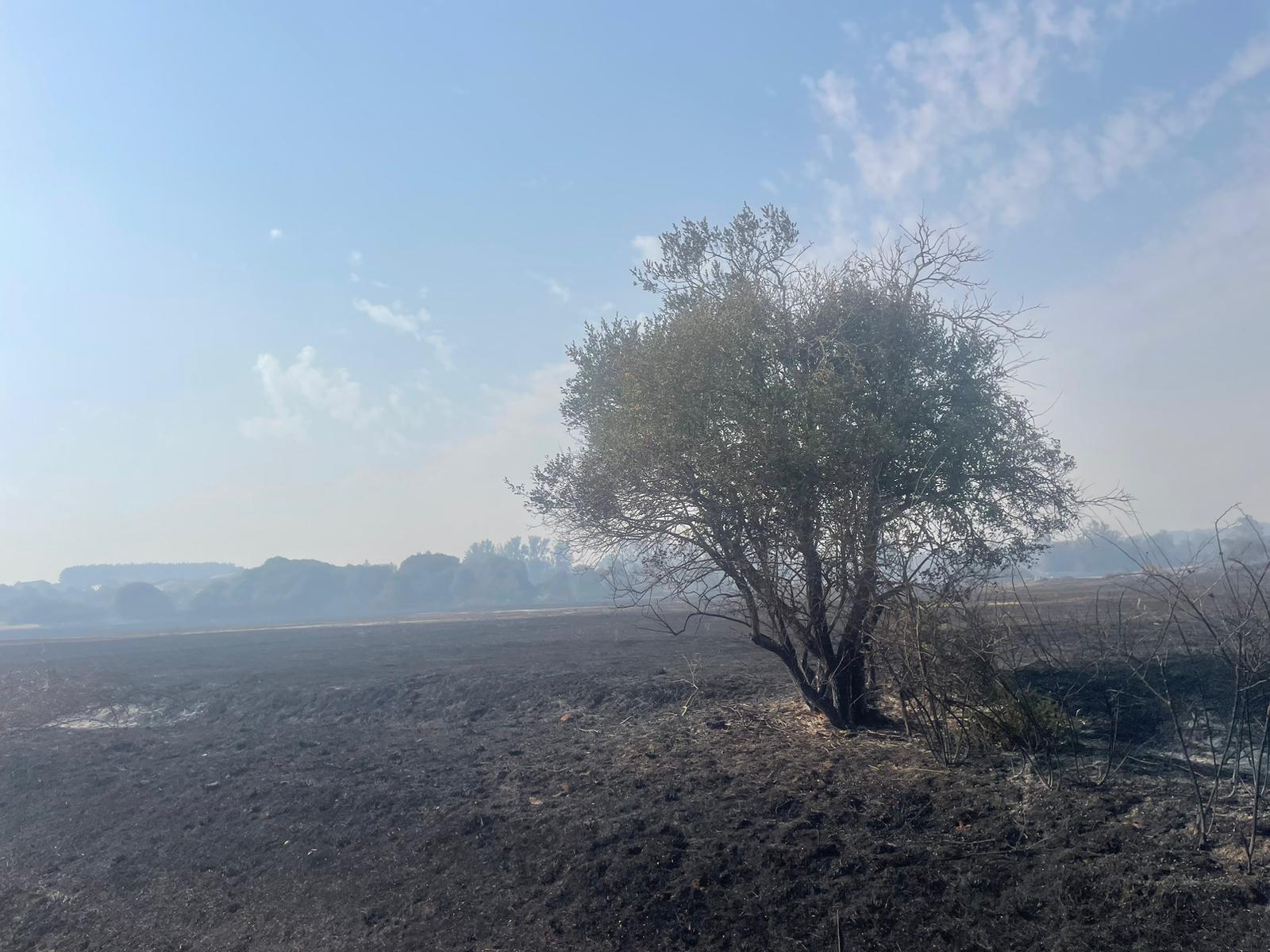 Así ha afectado el incendio de Almanza a Canalejas 