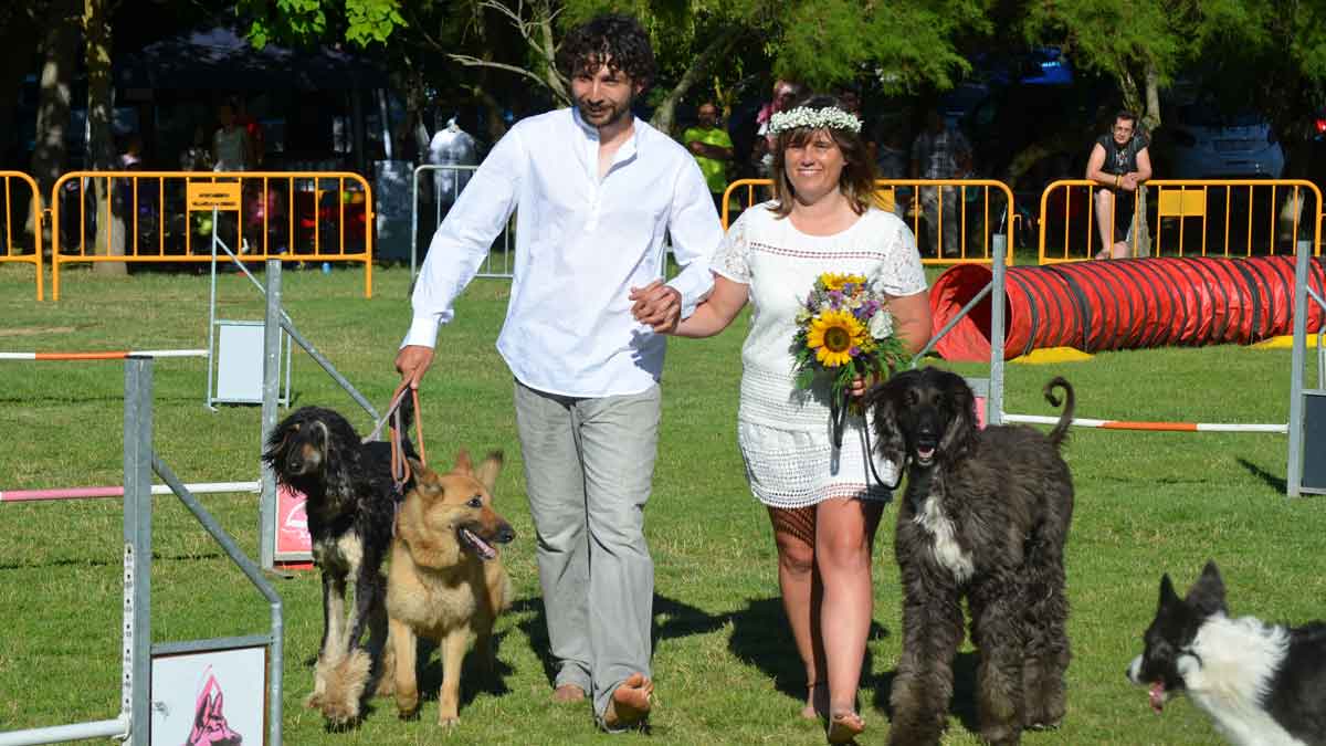 La pareja espera poder celebrar su aniversario también en el Trofeo de Agility ‘Reino de León’. | P.FERRERO La pareja espera poder celebrar su aniversario también en el Trofeo de Agility ‘Reino de León’. | P.FERRERO