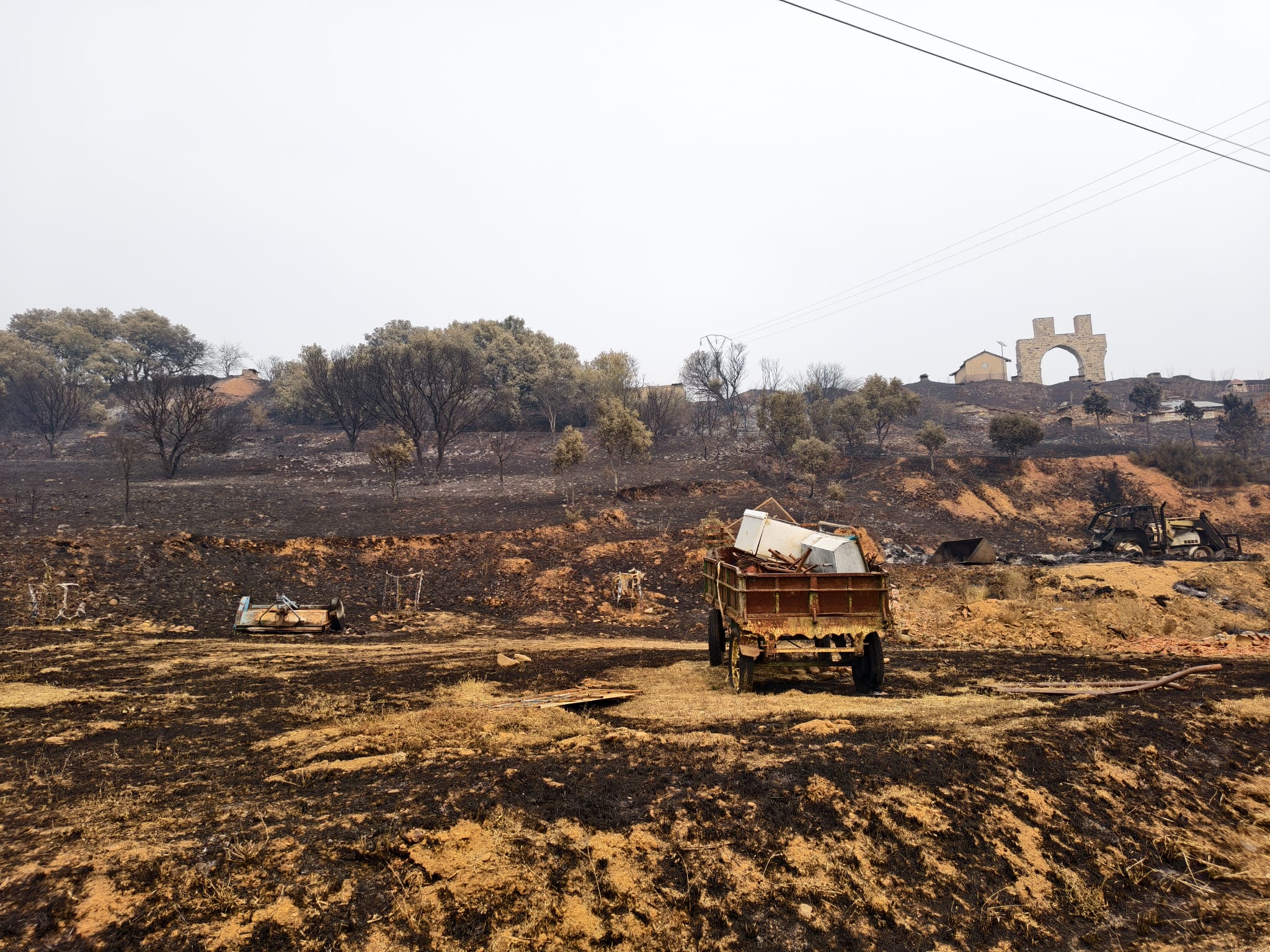 El fuego arrasó rápidamente con todo a su paso en Castrocalbón. |A. RODRÍGUEZ