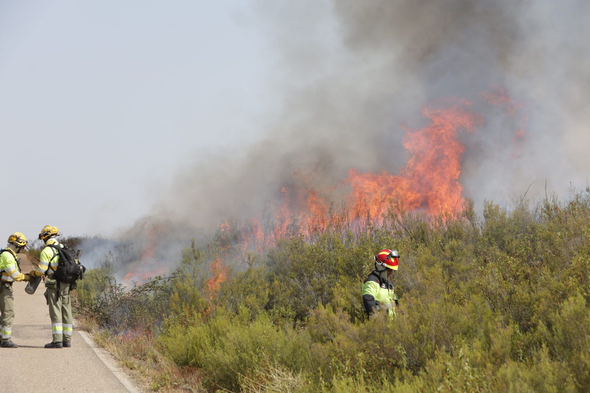 Bomberos luchan contra las llamas del fuego en un incendio de la provincia. | ICAL