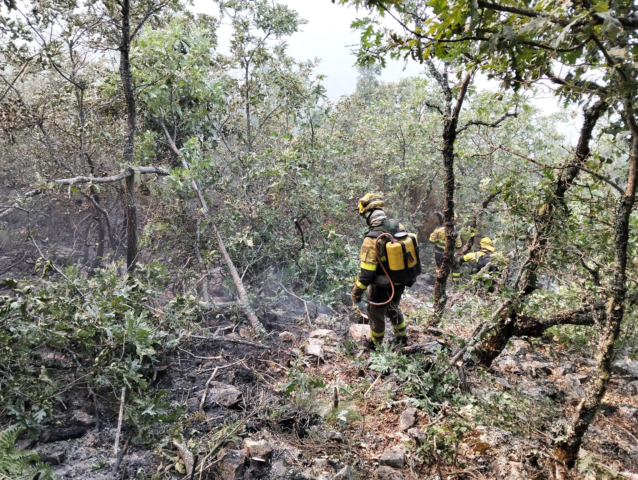 Las Brif de Tabuyo realizan labores de consolidación en la zona de Corporales. | BRIF TABUYO