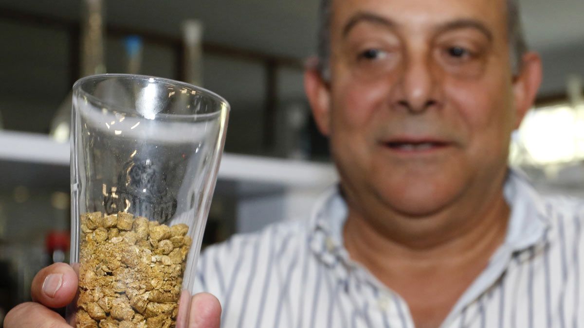 El director del Instituto de Investigación de la Viña y el Vino, Enrique Garzón, muestra semillas de lúpulo. | CAMPILLO (ICAL)
