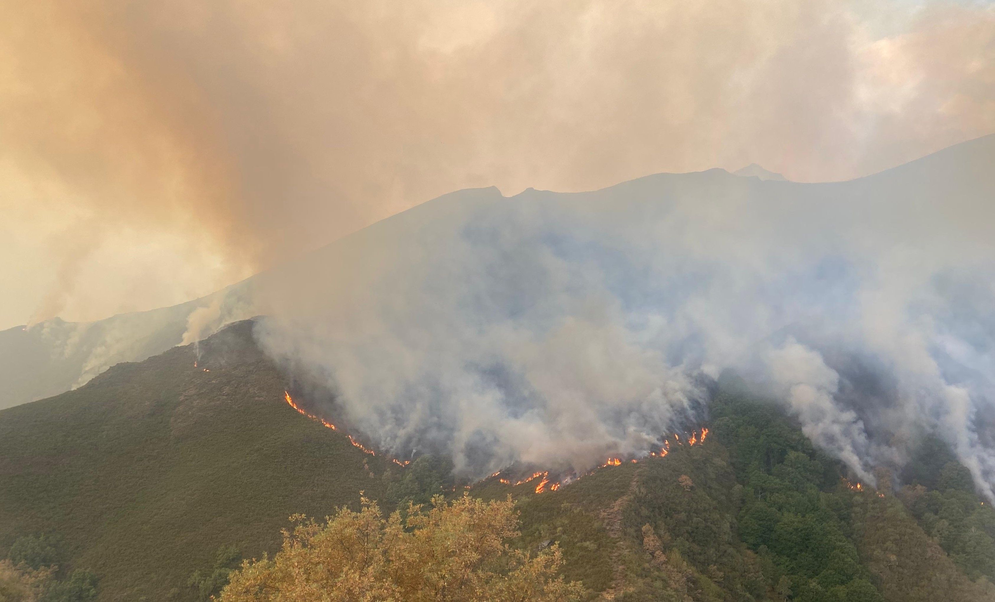 Uno de los incendios más brutales de los últimos días, en los montes de Oencia. | ICAL
