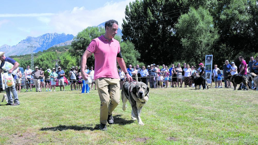 En la imagen, un momento del campeonato celebrado en San Emiliano el pasado año. | MAURICIO PEÑA