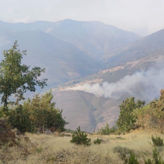 WhatsApp Image 2025 08 21 at 10.36.19 (1)