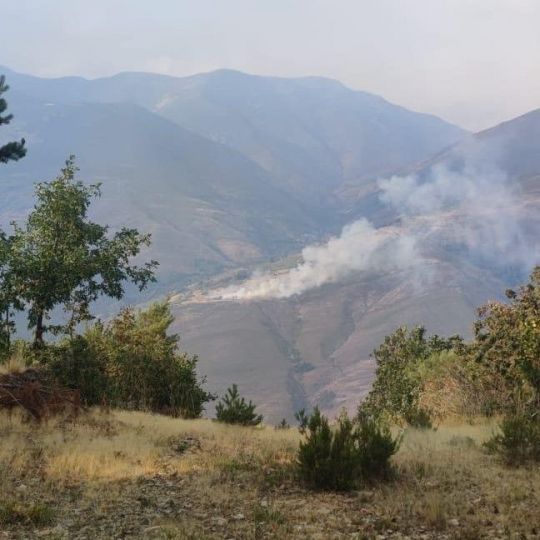 WhatsApp Image 2025 08 21 at 10.36.19 (2)