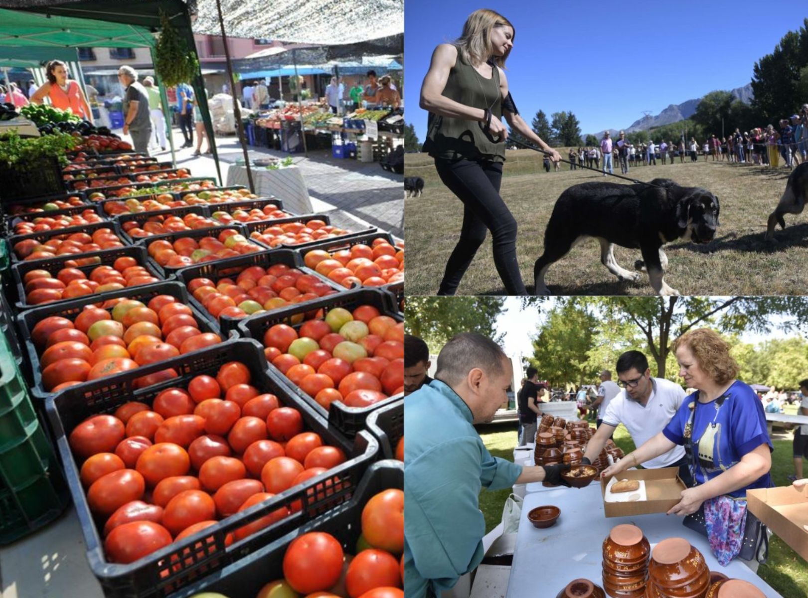 Todos los planes de los que disfrutar en León desde el viernes, 22 de agosto, hasta el domingo, día 24