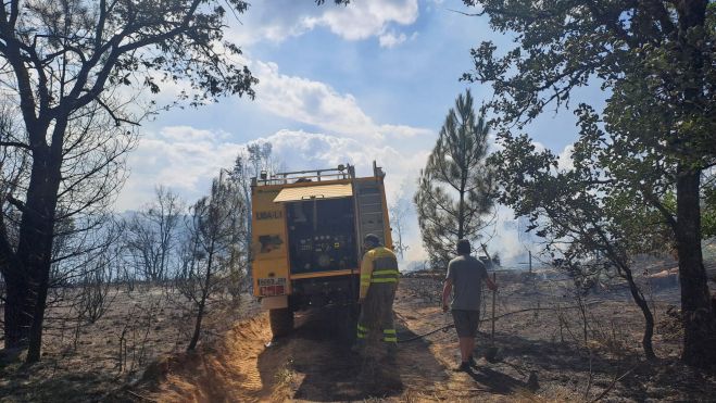 WhatsApp Image 2025 08 21 at 17.07.22 (2) WhatsApp Image 2025 08 21 at 17.07.22 (2)