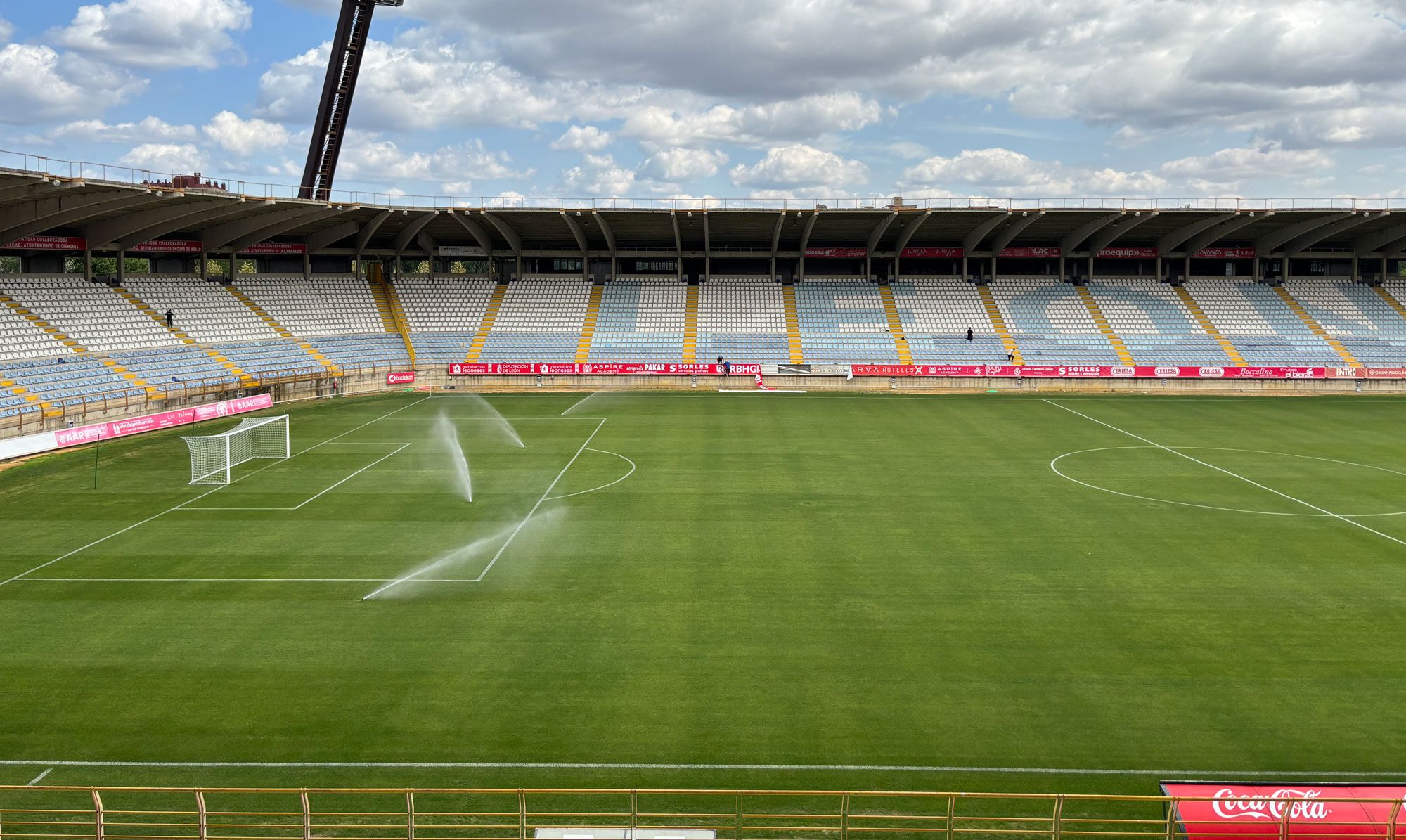 Estado actual del césped del Reino. | J.C.