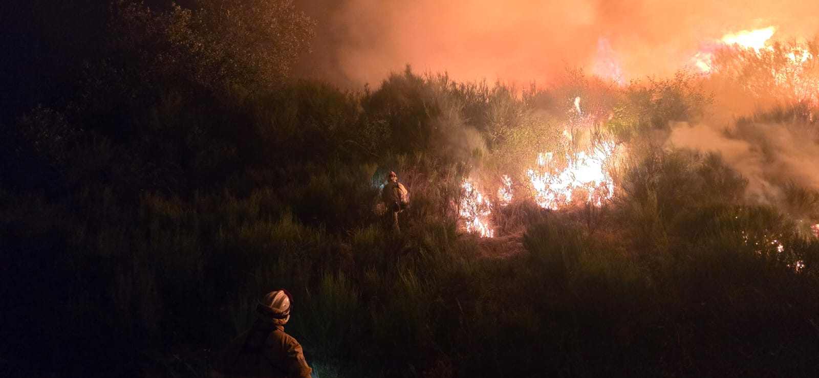 Imagen de archivo de uno de los incendios del pasado verano. | L.N.C. Imagen de archivo de uno de los incendios del pasado verano. | L.N.C.