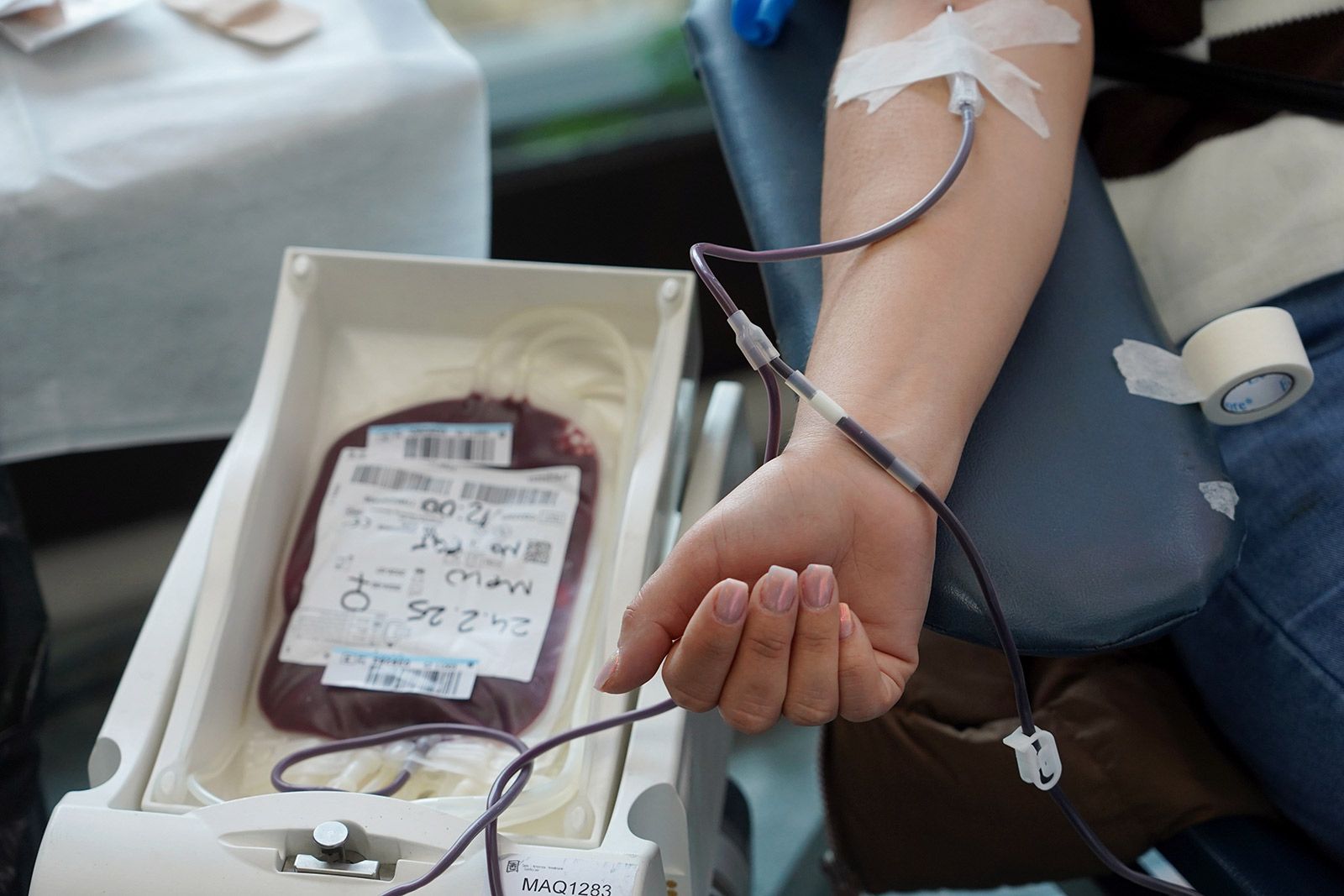 Donación de sangre. | ICAL