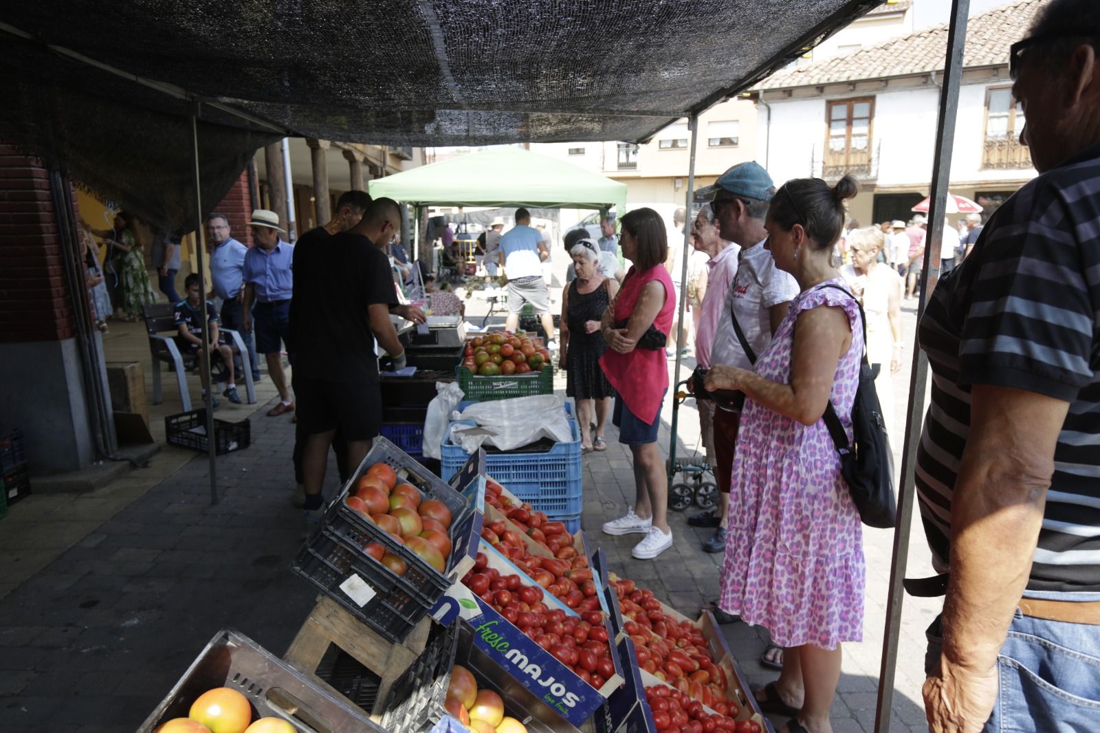 XXXVI Feria del Tomate de Mansilla 