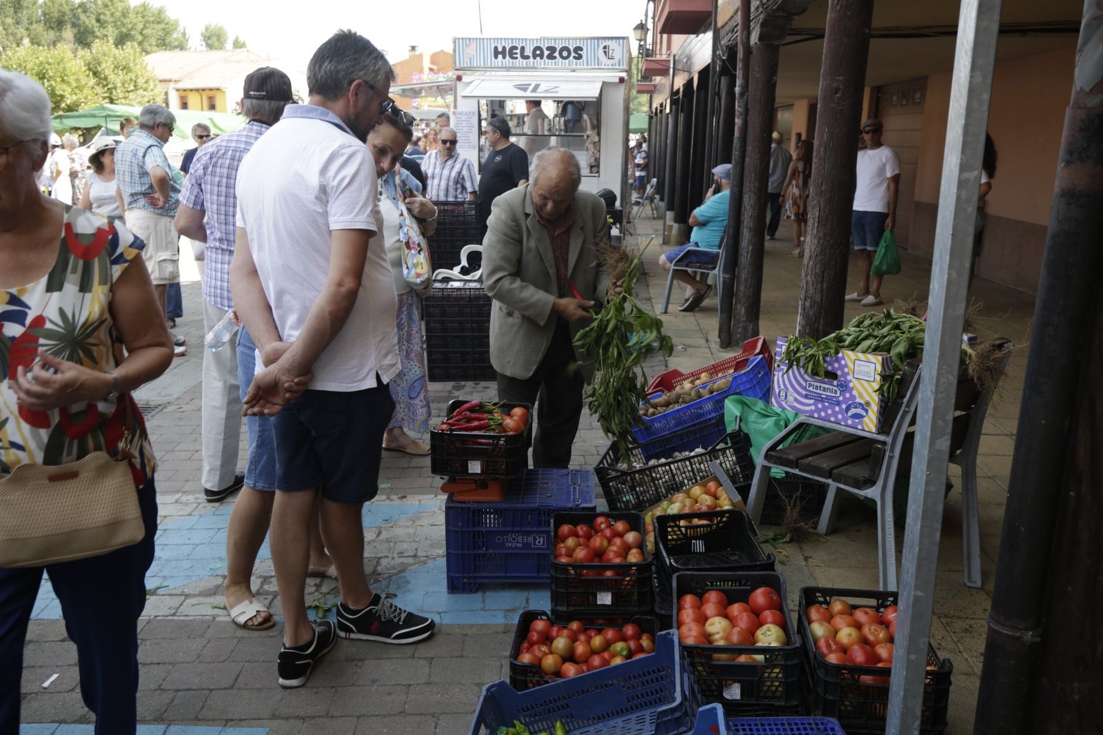 XXXVI Feria del Tomate de Mansilla 