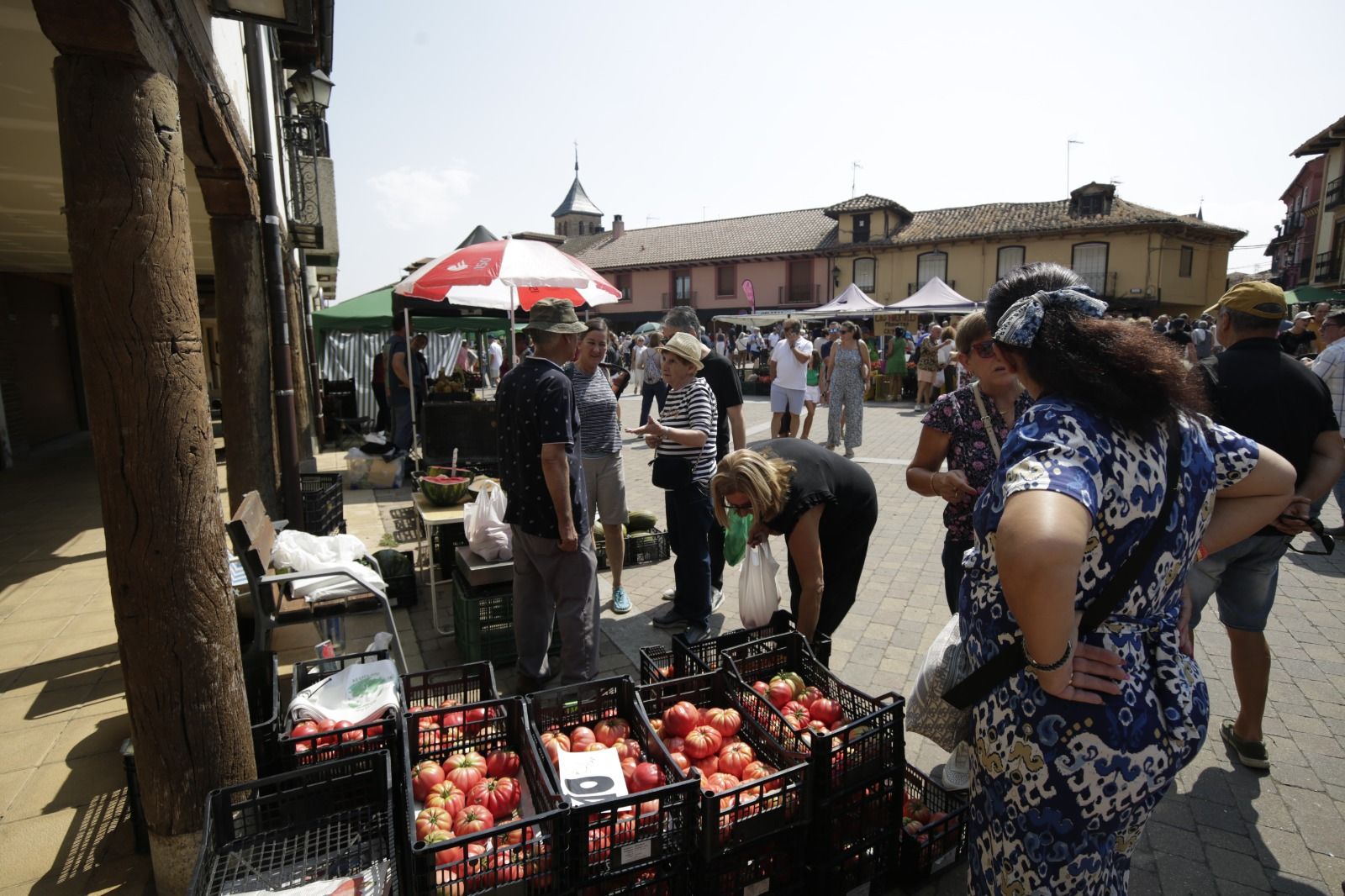 XXXVI Feria del Tomate de Mansilla 