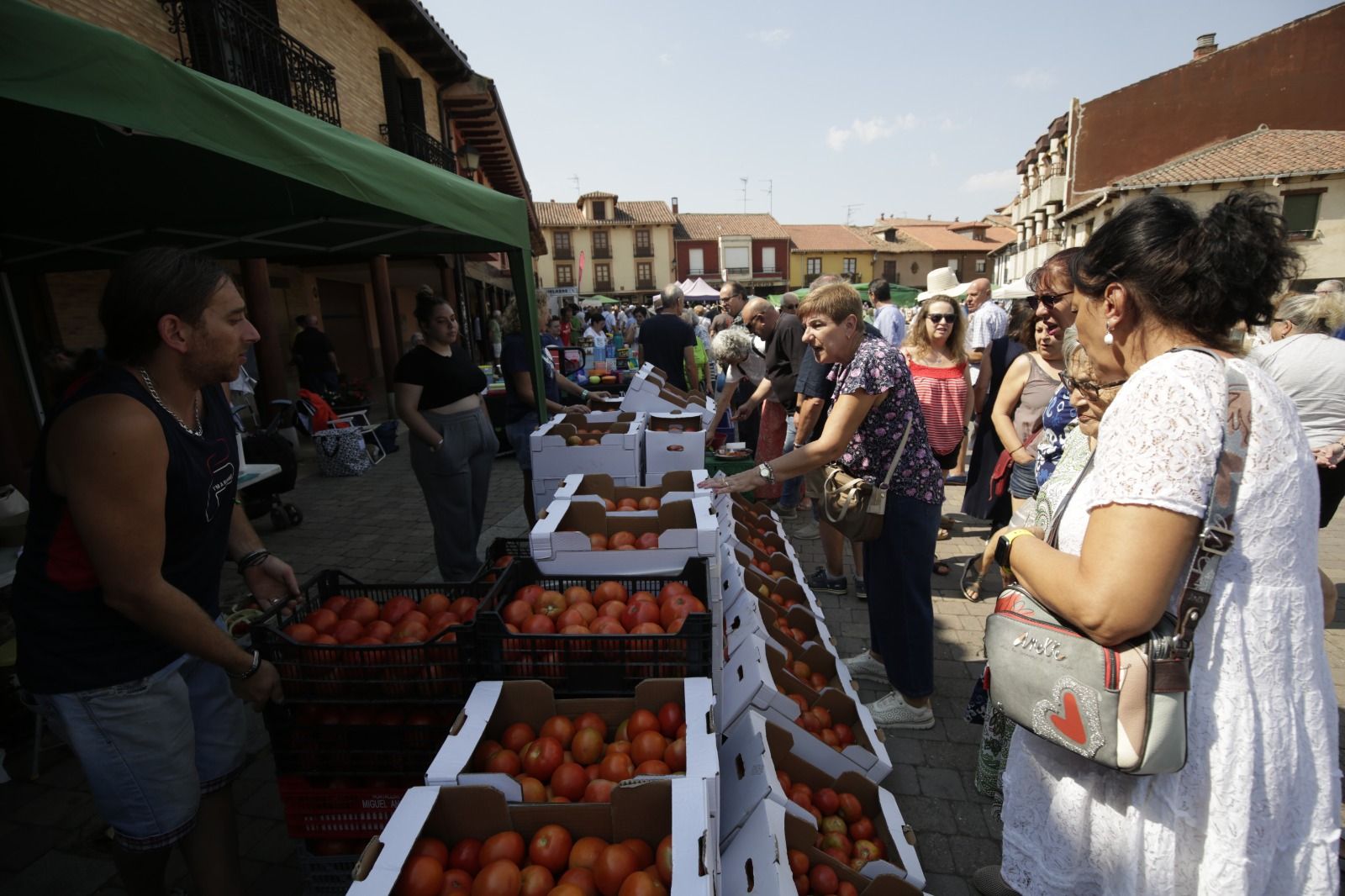 XXXVI Feria del Tomate de Mansilla 