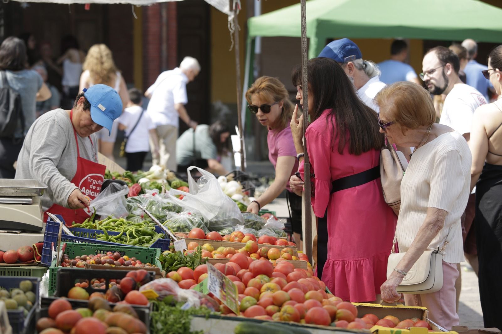 XXXVI Feria del Tomate de Mansilla 
