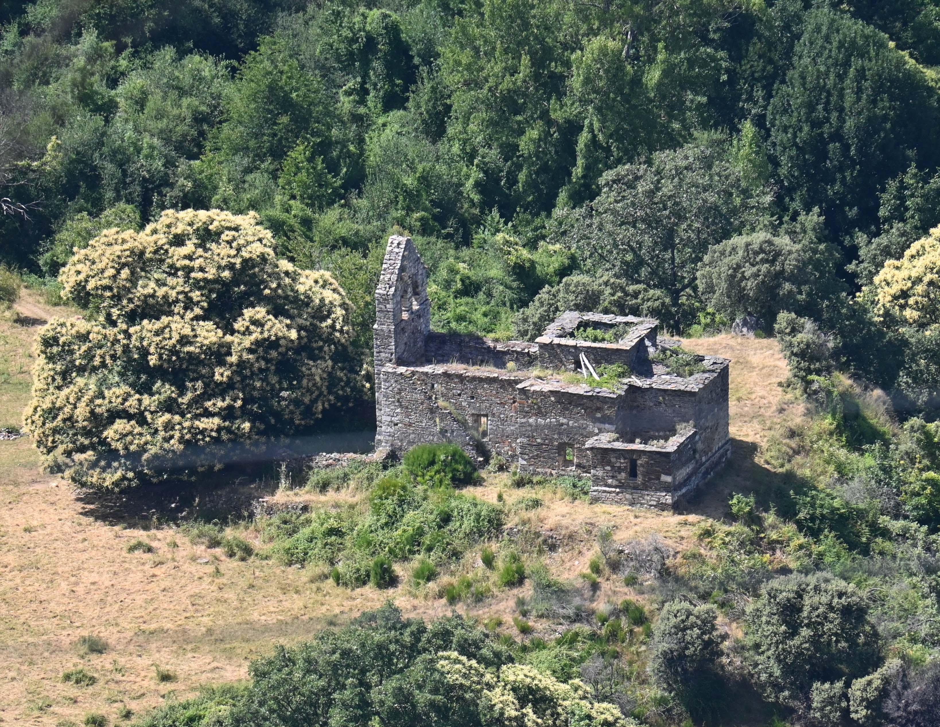 Los restos de la iglesia de San Pedro de Villarino se levantan en medio de un hermoso castañar, en la Tebaida berciana. | OLGA ORALLO