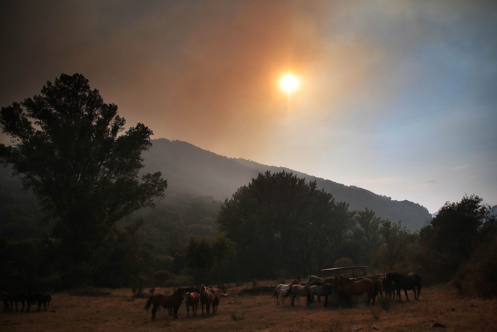 Incendio del pasado verano en la localidad leonesa de Fasgar.| Peio García (ICAL)