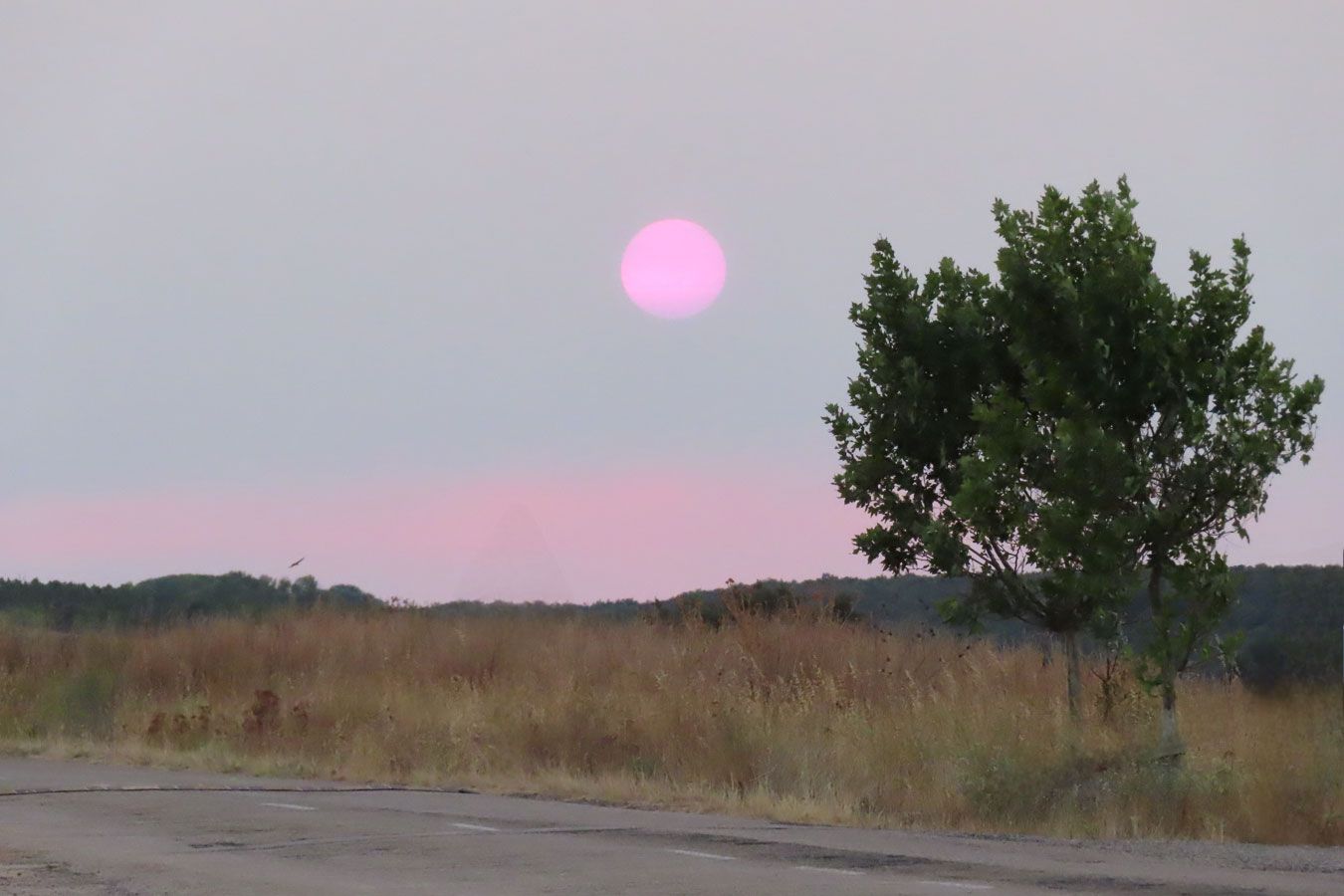 ‘Atardecer entre cenizas’, primer premio infantil.ALBA VEGAS PÉREZ
