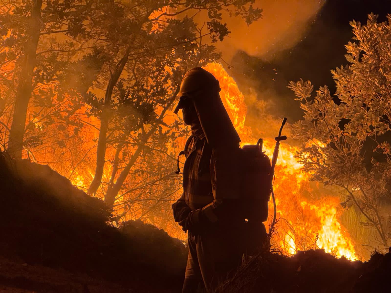 Los bomberos forestales de la Brif de Tabuyo se sirven de mochilas de agua y batefuegos para ejercer un ataque directo contra las llamas. | BRIF DE TABUYO Los bomberos forestales de la Brif de Tabuyo se sirven de mochilas de agua y batefuegos para ejercer un ataque directo contra las llamas. | BRIF DE TABUYO