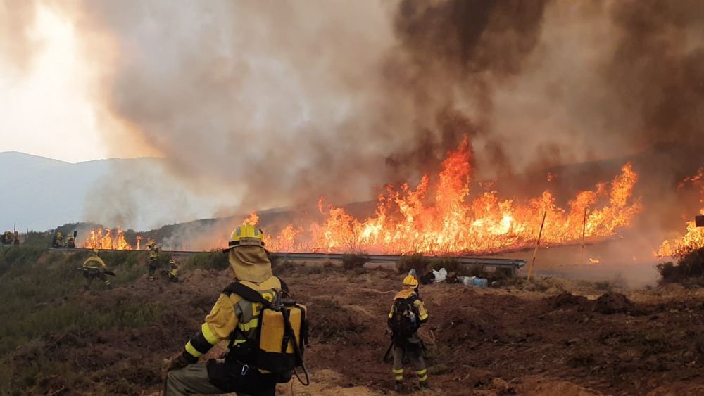 WhatsApp Image 2025 08 25 at 19.56.40 WhatsApp Image 2025 08 25 at 19.56.40