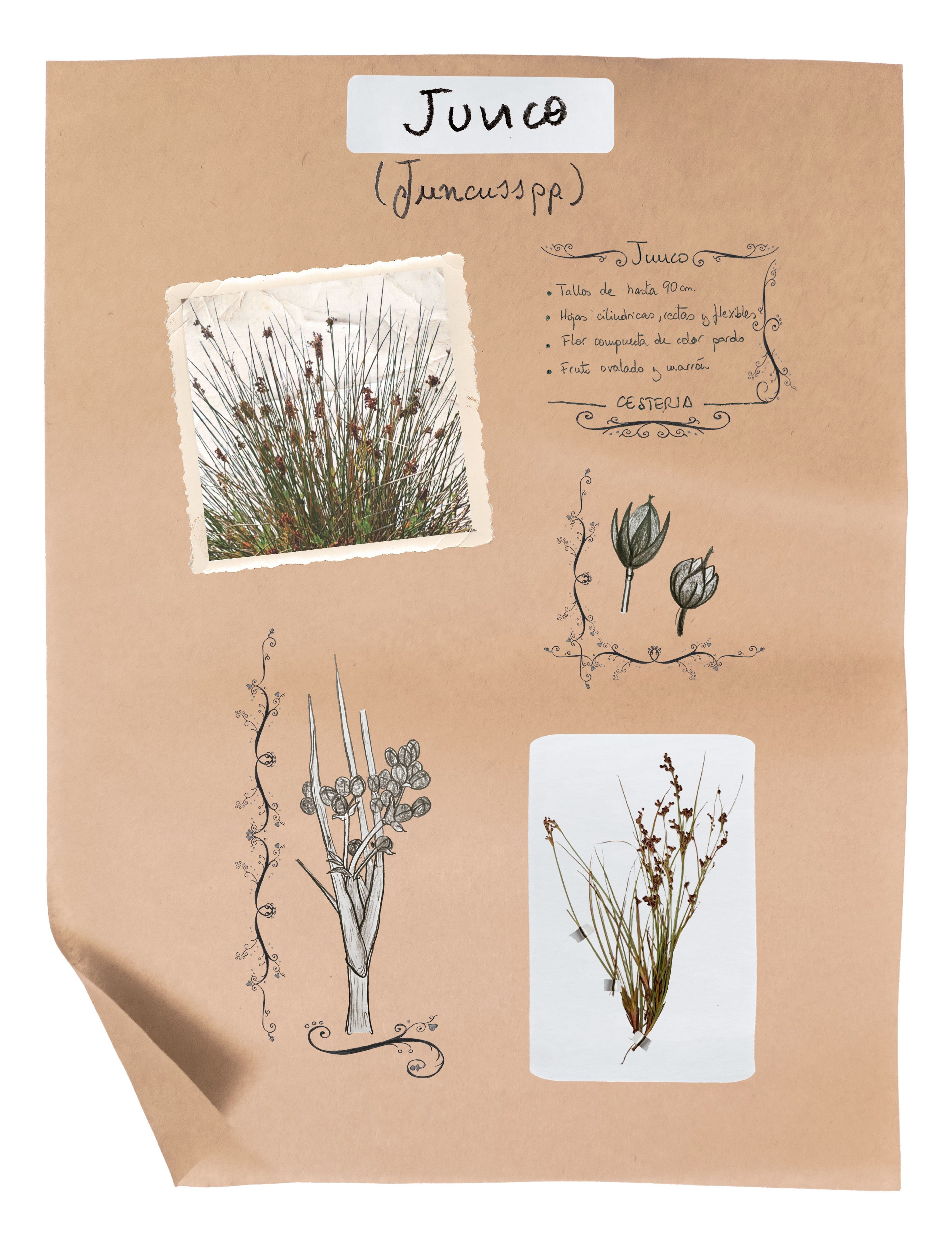 | MAIKA GARCÍA Y NOELIA GARCÍA