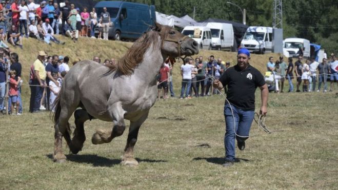 Imagen de archivo de un momento del concurso celebrado el pasado año. MAURICIO PEÑA Imagen de archivo de un momento del concurso celebrado el pasado año. MAURICIO PEÑA