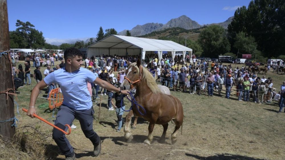 Un momento del concurso caballar celebrado el pasado año en San Emiliano.| MAURICIO PEÑA