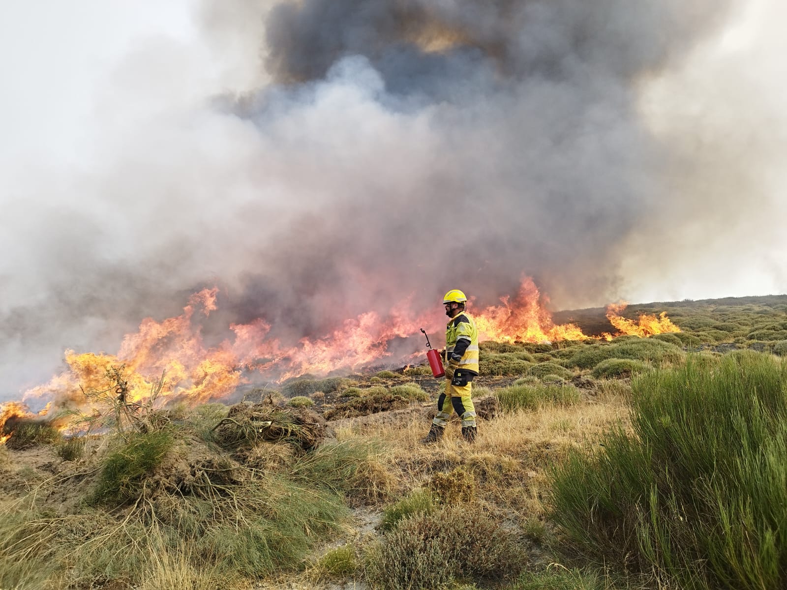 Refuerzos de otras comunidades ayudan a apagar los incendios en León. | L.N.C.