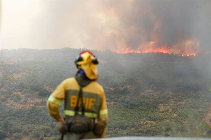 Un bombero forestal de las Brif del Miteco, en uno de los incendios del pasado mes de agosto. | ICAL