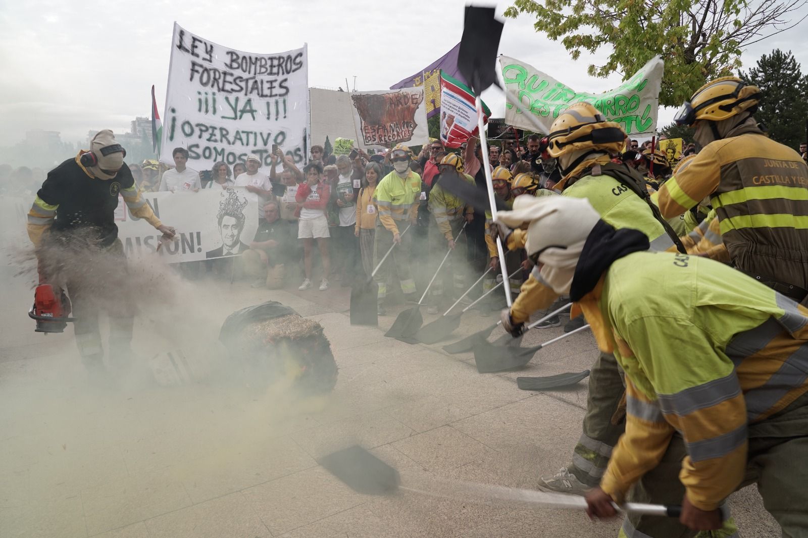 Concentración ante las Cortes por la gestión de los incendios de la Junta (5) Concentración ante las Cortes por la gestión de los incendios de la Junta (5)