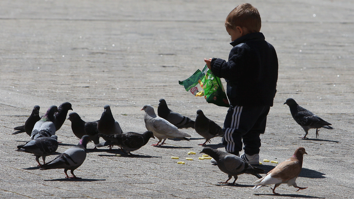 Un niño da de comer a las palomas, en una imagen de archivo. | CÉSAR SÁNCHEZ (ICAL)