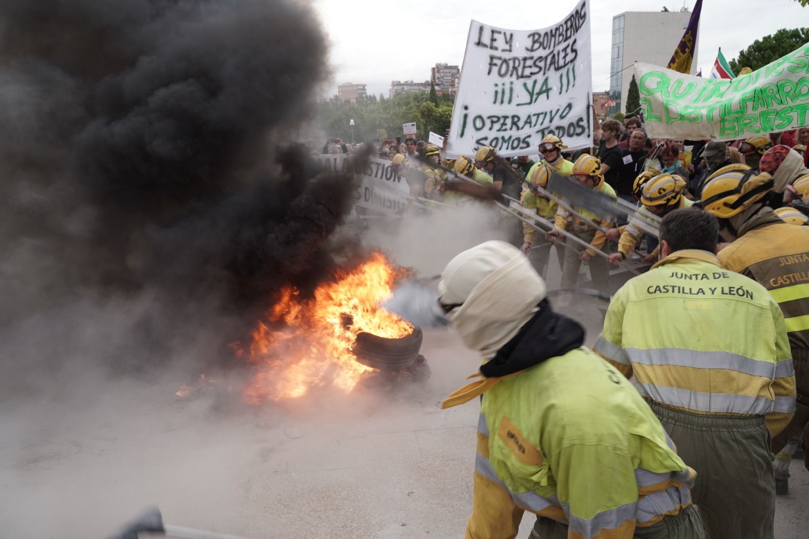 Concentración ante las Cortes por la gestión de los incendios de la Junta (11) Concentración ante las Cortes por la gestión de los incendios de la Junta (11)
