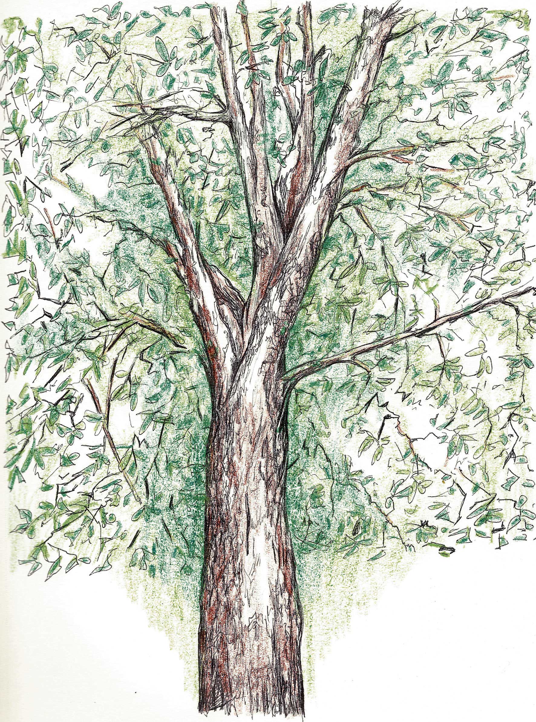 Promesas bajo el sol. | JOSÉ ANTONIO SANTOCILDES