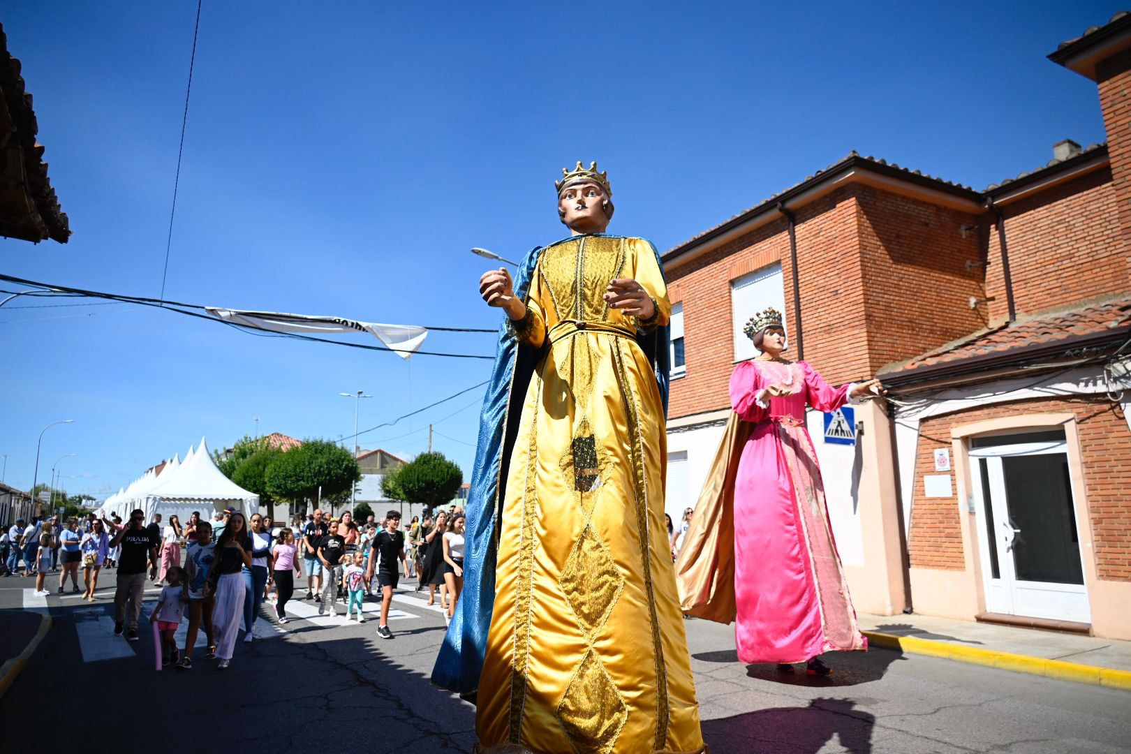 Extraños seres entrañables. | SAÚL ARÉN