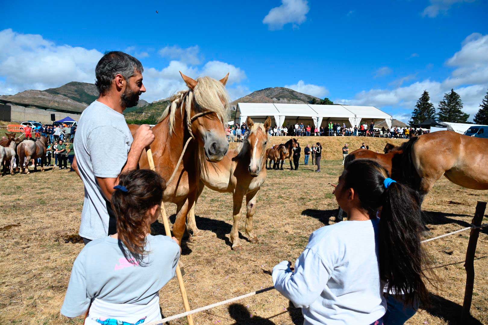 El Hispano Bretón vuelve a conquistar Babia. | SAÚL ARÉN