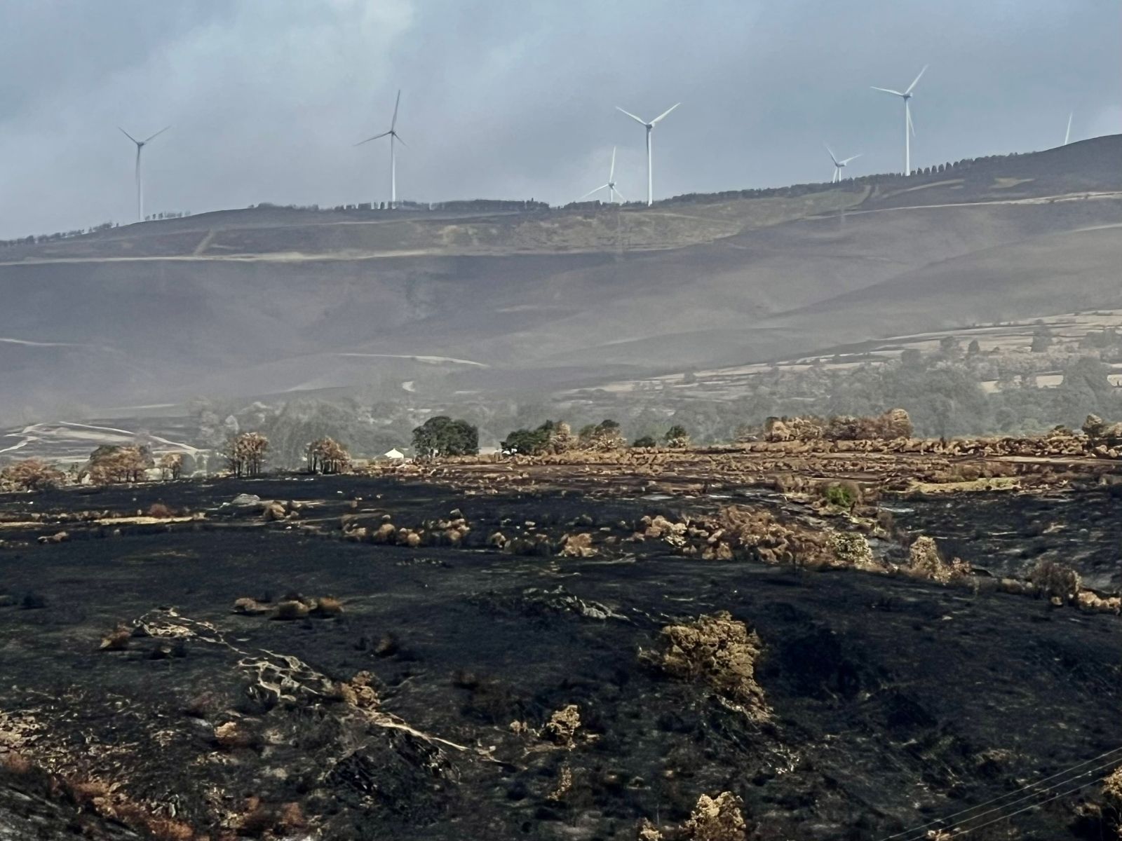 Zona afectada por los incendios en Chana de Somoza. | CAMPILLO (ICAL) 