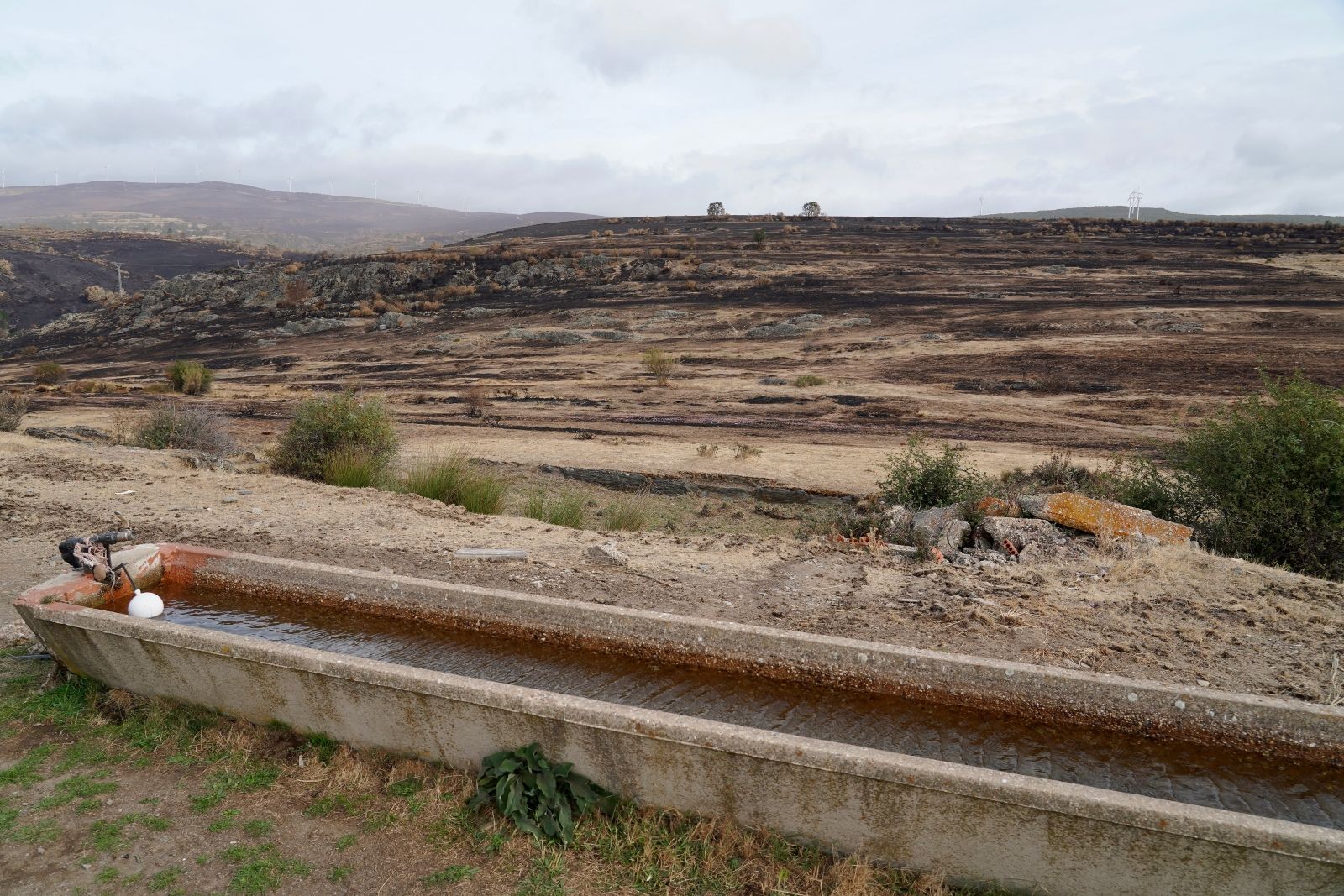 Zona afectada por los incendios en Chana de Somoza | Campillo (ICAL) Zona afectada por los incendios en Chana de Somoza | Campillo (ICAL)