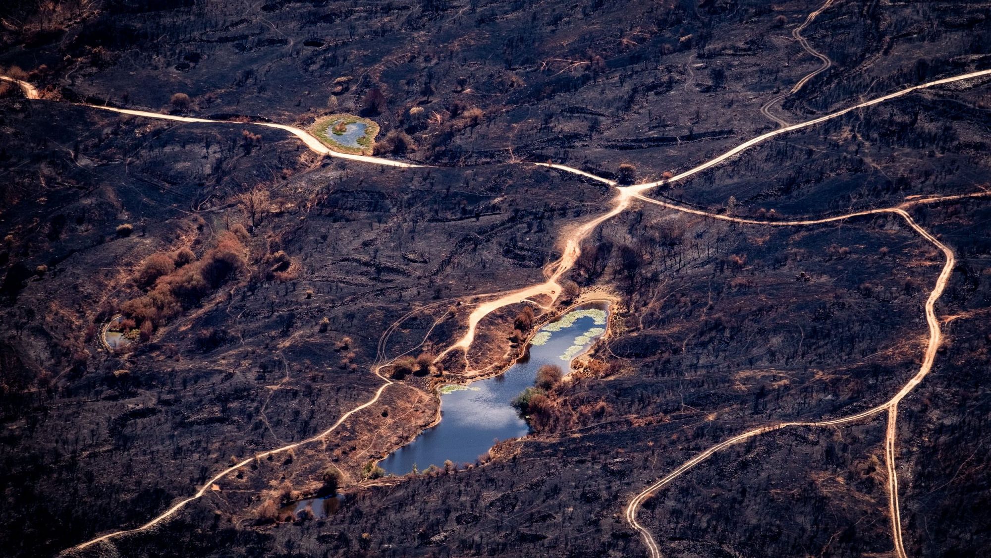 Imagen del espacio berciano de Las Médulas tras el paso del fuego. | GREENPEACE / PEDRO ARMESTRE