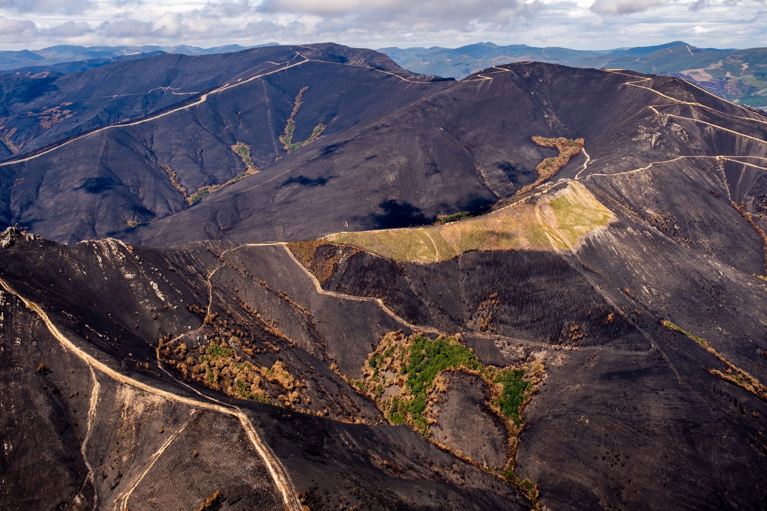 GP0SU6MIW PressMedia (2500px) (1)