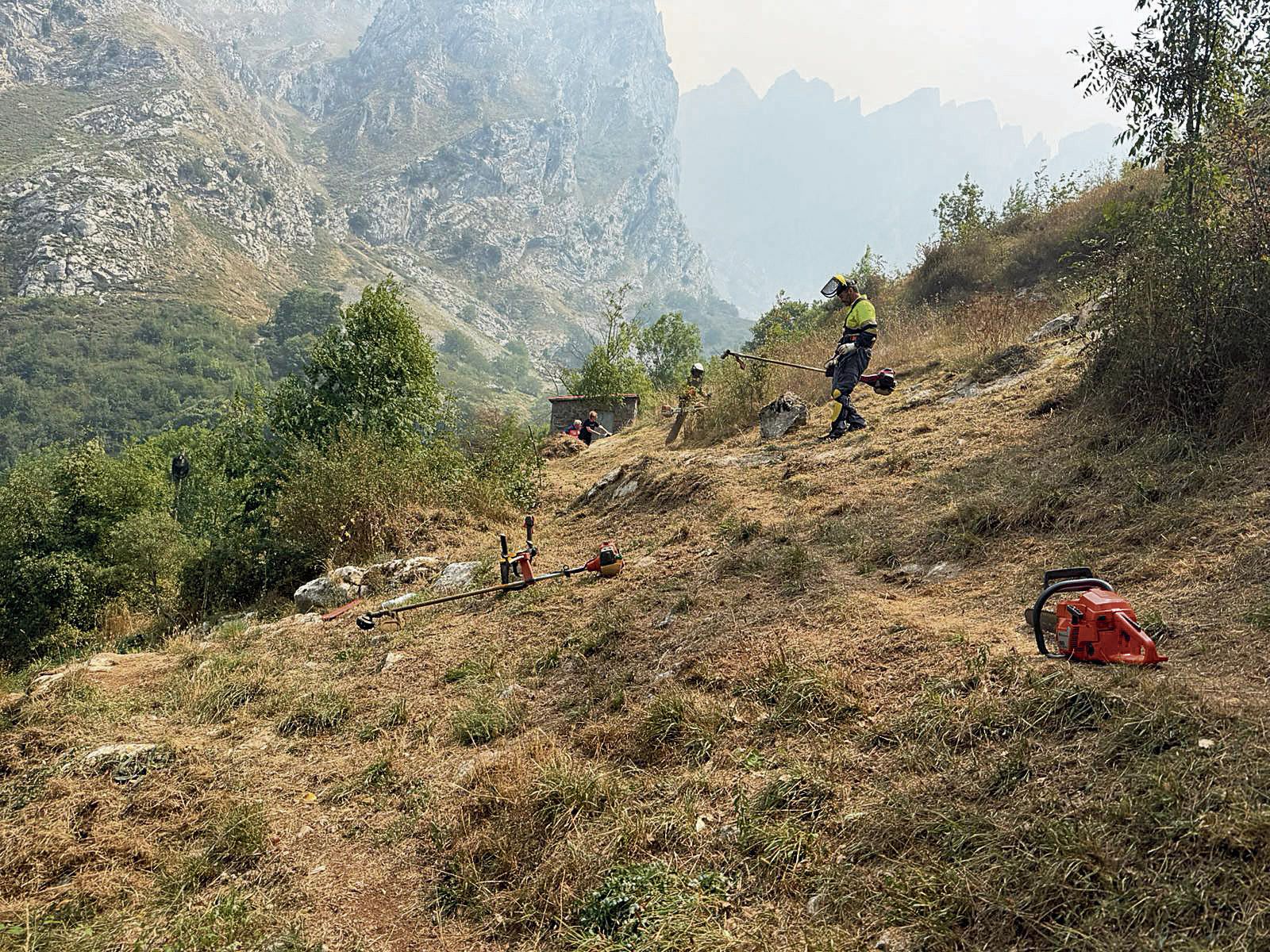 Imagen cain 4 Imagen cain 4